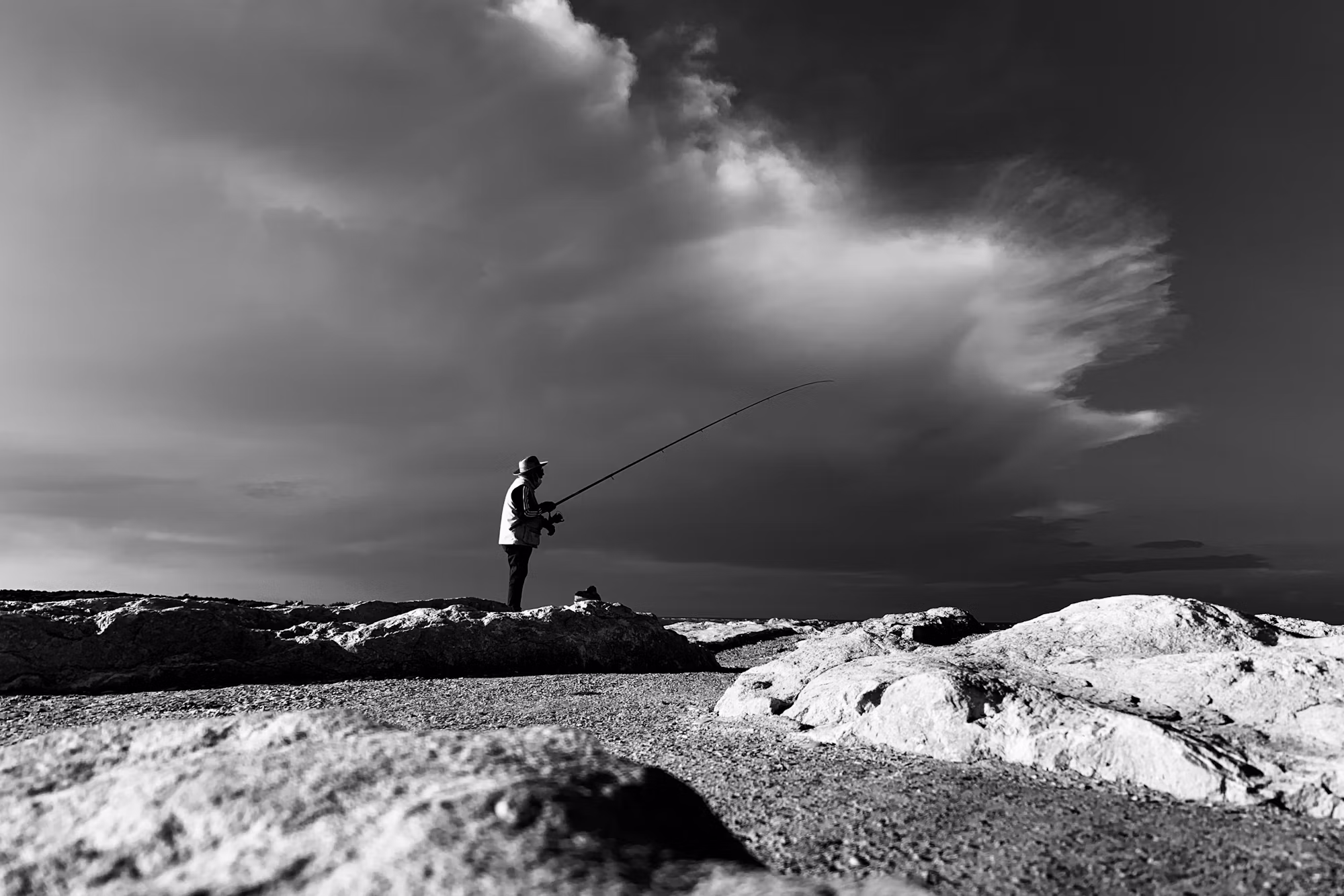 Exploring the Depths of Bottom Trawling: Techniques and Sustainability